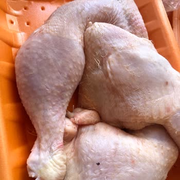 Aldığım Tavuk Butlarında Çok Sayıda Tüy Çıktı Temizlik Yetersizdi