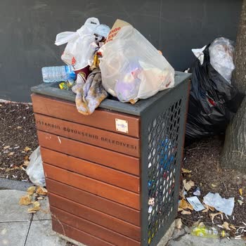 Yeni Yapılan Parkta Çöp Sorunu Ve Yetersiz Temizlik Denetimi