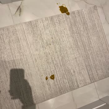 Satın Aldığım Kedi Maması Kedilerimde Kusma Problemine Yol Açtı