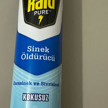 Kokusuz Denilen Raid Spreyde Rahatsız Edici Koku Sorunu