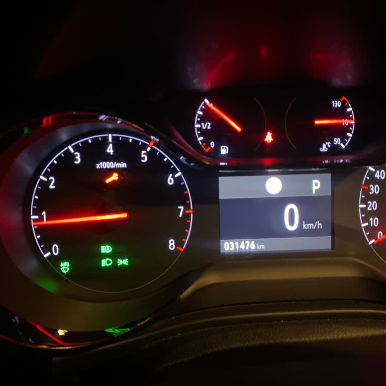 Avis'ten Kiralanan Aracın Arızaları ve Yetersiz Müşteri Hizmeti Nedeniyle Tatilde Yaşanan Mağduriyet