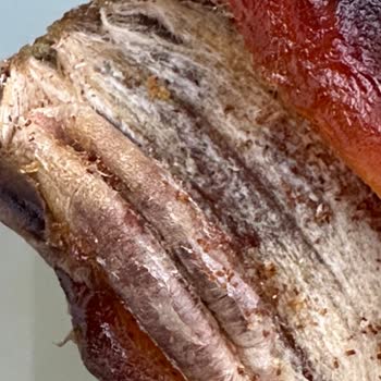 Aldığım Hurmada Kurt Çıkması Ve Kalite Kontrol Eksikliği