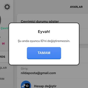 Oyuncu ID Değişikliği Yapılamıyor Ve Destek Alınamıyor