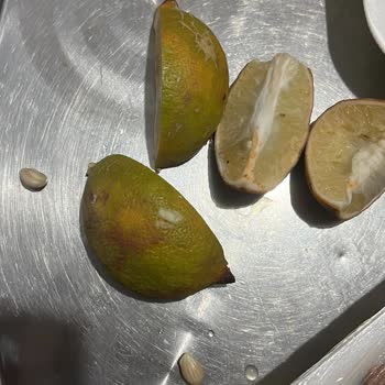 Bozuk Ve Küflü Ürün, İlgisiz Müşteri Hizmetleri!