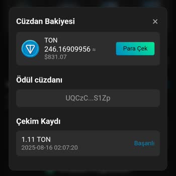 Ton-Mine Uygulamasında Bakiyem Kayboldu, Ödemelerim Karşılıksız Kaldı