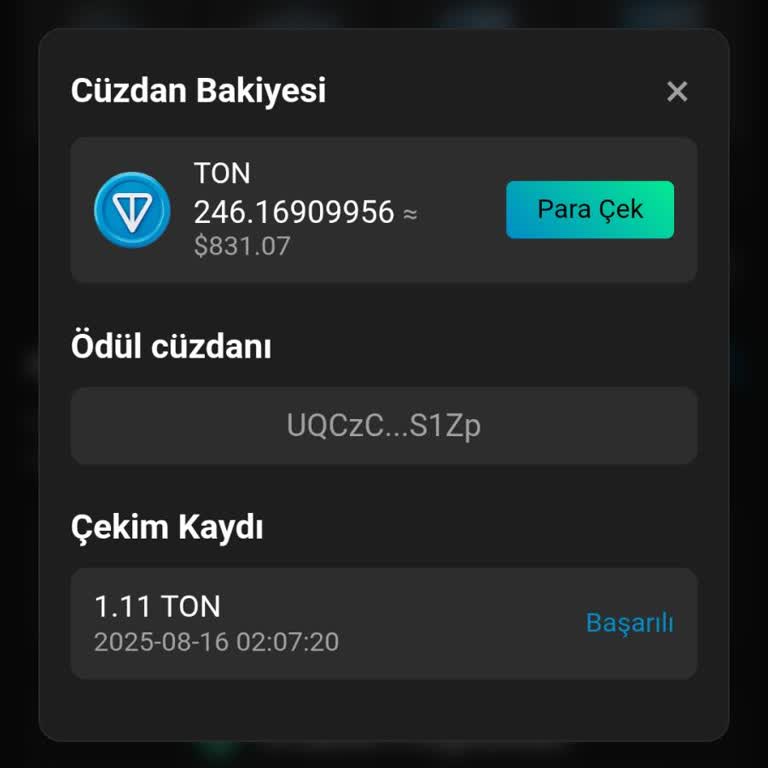Ton-Mine Uygulamasında Bakiyem Kayboldu, Ödemelerim Karşılıksız Kaldı