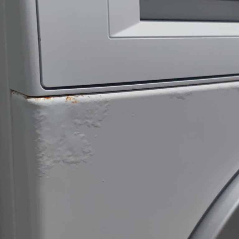 Bosch Çamaşır Makinesinde Deterjan Kutusu Kaynaklı Su Sızıntısı Ve Deformasyon