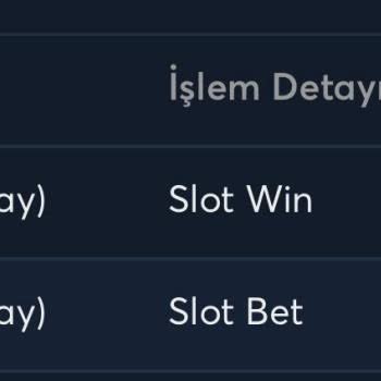 Kazandığım Casino Ödülü Hesabıma Yatırılmadı, Destekten Yanıt Alamadım