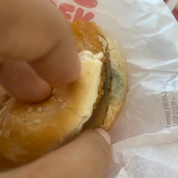 Küflü Ekmek Nedeniyle Sağlığımız Tehlikeye Girdi, Ücret İadesi Ve Özür Bekliyorum