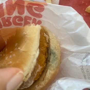 Küflü Ekmek Nedeniyle Sağlığımız Tehlikeye Girdi, Ücret İadesi Ve Özür Bekliyorum