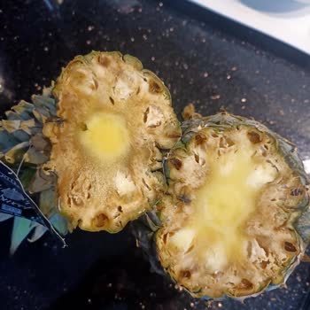 Aldığım Ananaslar Bozuk Çıktı, Para İadesi Talep Ediyorum