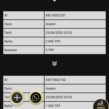 Hesabım Bilgim Dışında Kullanılarak 5000 TL Bakiyem Sıfırlandı, Destek Alamadım