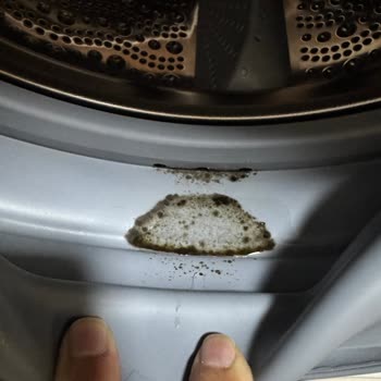 Bosch Serie 6 Çamaşır Makinesinde Körük Lastiği Küflenme Ve Tasarım Sorunu