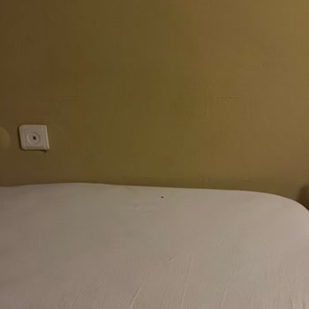 Otel Konaklamasında Tahta Kurusu Problemi Ve İade Talebi