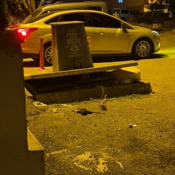 Pendik Belediyesi'nin Çöp Konteyneri Temizliği Konusundaki İhmali