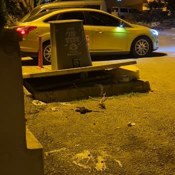 Pendik Belediyesi'nin Çöp Konteyneri Temizliği Konusundaki İhmali