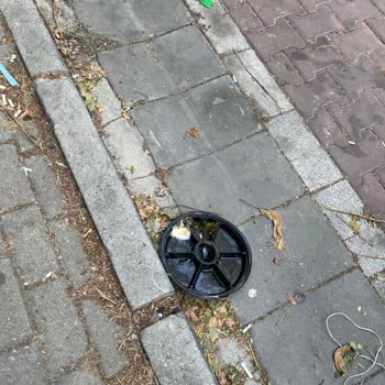 Avcılar Belediyesi'nde Sürekli Temizlik Eksikliği Ve Yetersiz Hizmet