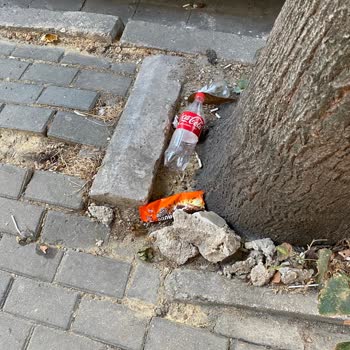 Avcılar Belediyesi'nde Sürekli Temizlik Eksikliği Ve Yetersiz Hizmet