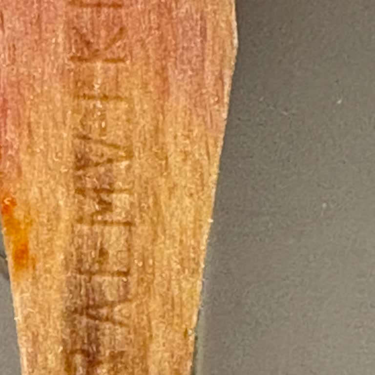 Magnum Çekiliş Şifreleri Çalışmıyor, Katılım Sağlayamıyorum