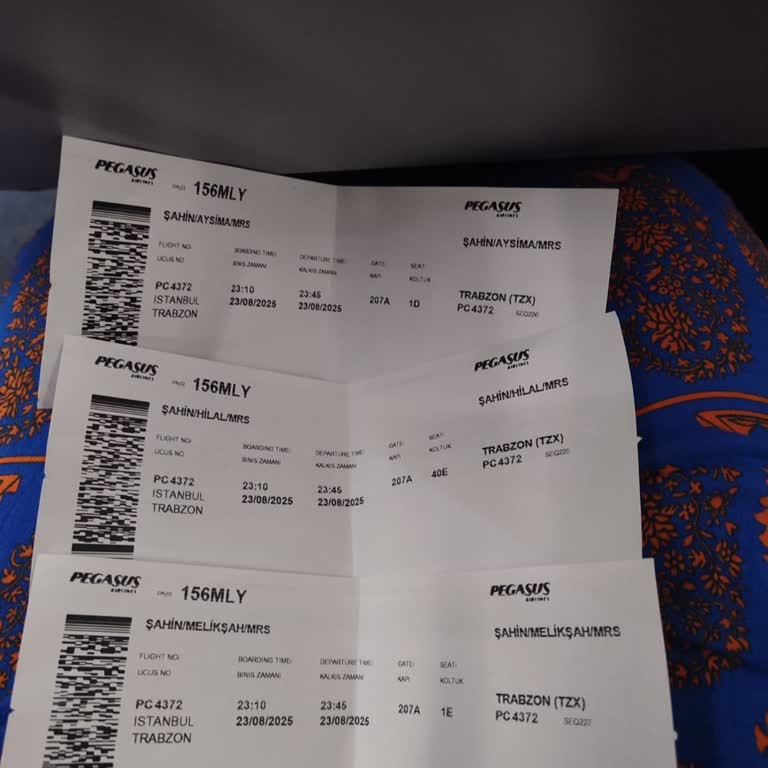 Pegasus Uçuşunda Aile Bireylerinin Ayrı Oturtulması Mağduriyet Yarattı