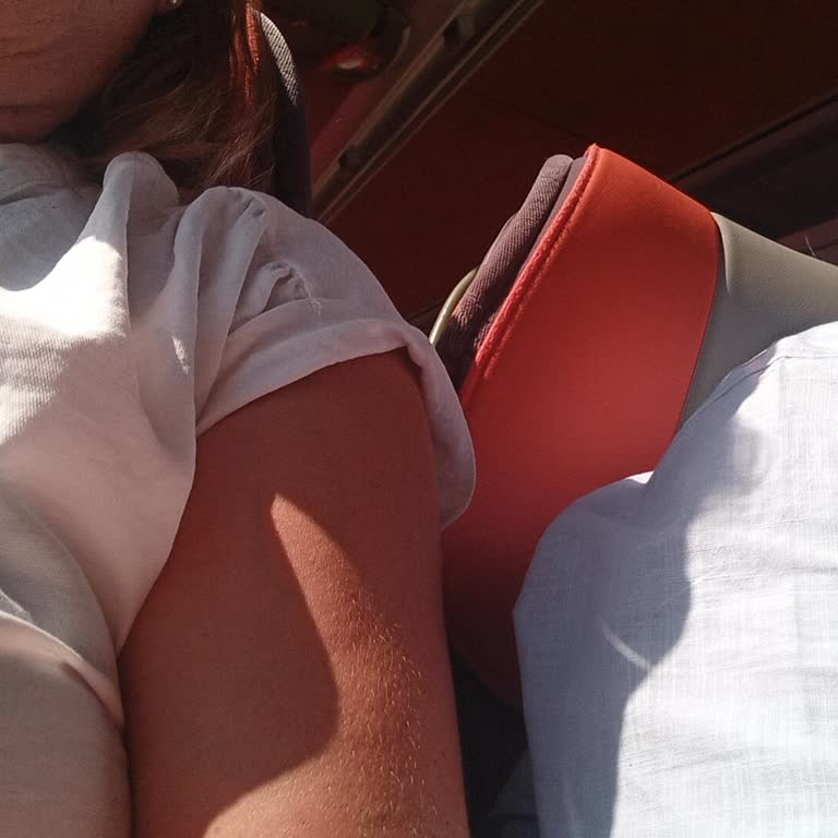 Kadın Yolcunun Yanına Erkek Yolcu Oturtulmasına Tepki