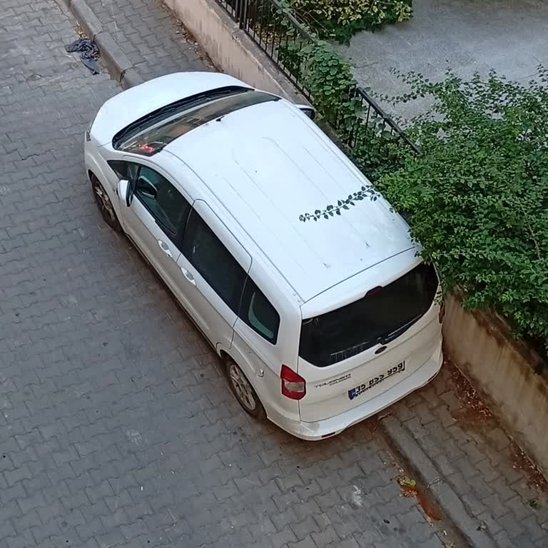 Erzene Mahallesi 70 Sokakta İki Aydır Süpürülmeyen Sokaklar Ve Artan Kirlilik