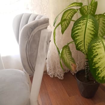 Yanlış Ve Hasarlı Masa Teslimatı Sonrası Çözüm Alamadım