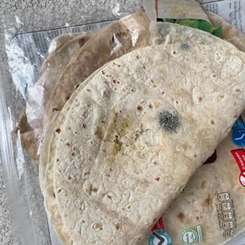 Aldığım Ekmek Küflü Çıktı Ve Sürekli Aynı Sorunla Karşılaşıyorum