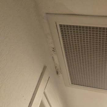 Odamızda Küf Kokusu Ve Su Sızıntısı Sorunu Çözülmüyor