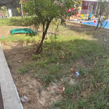 Otelin Kötü Hizmeti Ve Hijyen Sorunları Tatilimi Mahvetti