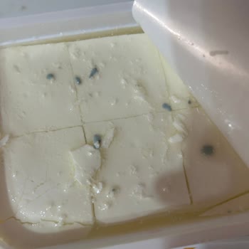 Kapalı Ambalajda Küflü Peynirle Karşılaştım Gıda Güvenliği Endişesi Yaşıyorum