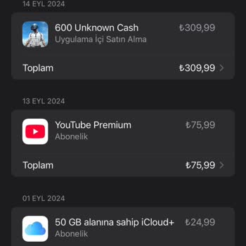 PUBG Hesabıma Erişimim Engellendi, Destek Alamıyorum