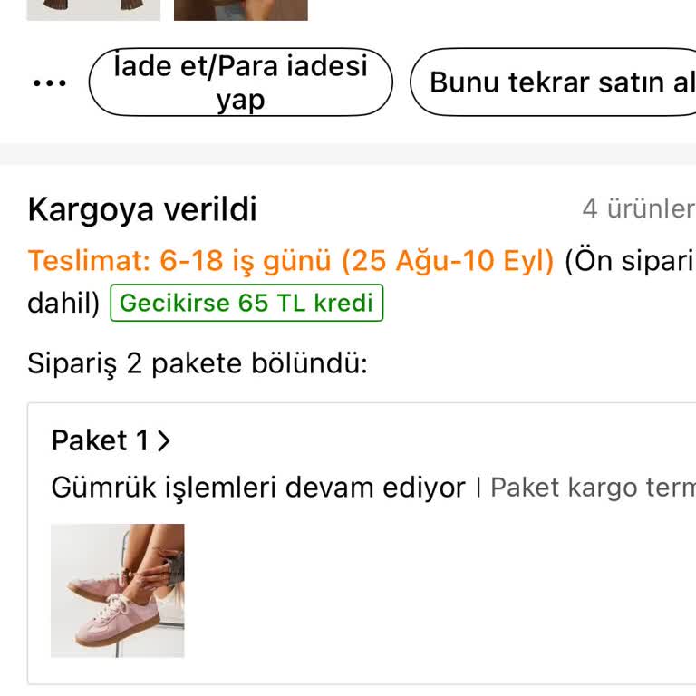 Temu'dan Verilen Siparişlerim Uzun Süredir Kargoya Verilmedi Ve Teslimat Gecikiyor