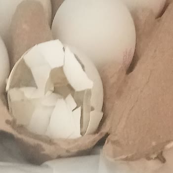 A101'den Alınan Bozuk Yumurta Ve İade Sürecinde Yaşanan Mağduriyet