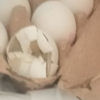 A101'den Alınan Bozuk Yumurta Ve İade Sürecinde Yaşanan Mağduriyet