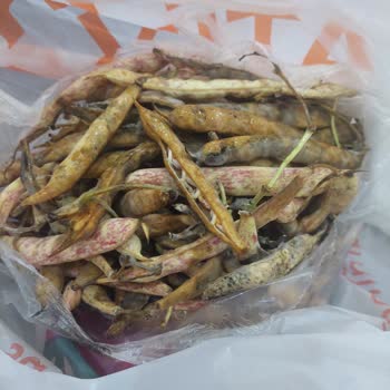 Migros Online’dan Aldığım Barbunyalar Çürük Ve Küflü Geldi, Müşteri Hizmetleri İlgisiz Kaldı