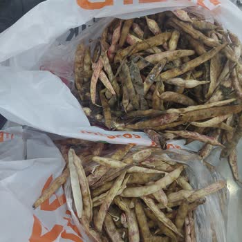 Migros Online’dan Aldığım Barbunyalar Çürük Ve Küflü Geldi, Müşteri Hizmetleri İlgisiz Kaldı