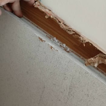 Kelebek Mobilya Teslimatında Eksik Ve Hasarlı Parça Mağduriyeti Yaşadım