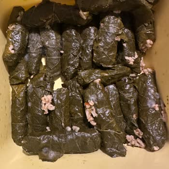 Garanti Kapsamındaki Buzdolabım Onarılmadı, Mağduriyetim Giderilmiyor