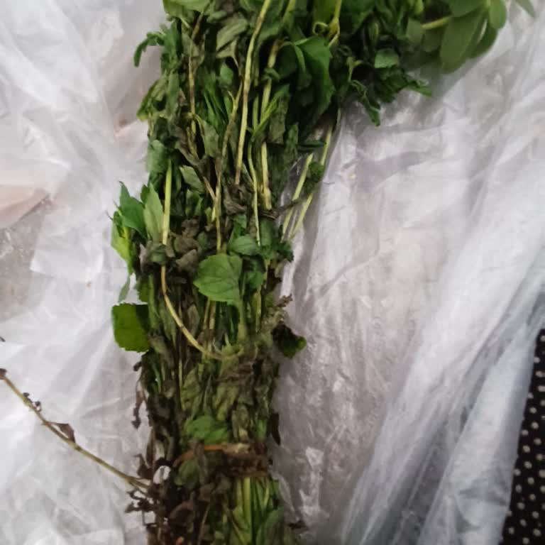 Öncümar Çürümeye Yüz Tutmuş Naneleri Satması