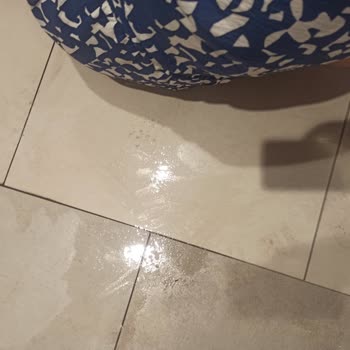 Maltepe Park AVM'de Islak Zeminde Yaşanan Kaza Sonrası İlgisiz Davranış Ve Yetersiz Müdahale