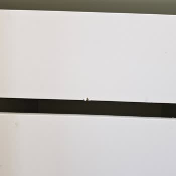 Taşınma Sırasında Eşyalarım Kırıldı Firma İlgilenmedi