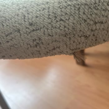 60.000 TL’lik Koltuk Takımı Hayal Kırıklığı Ve İlgisizlik