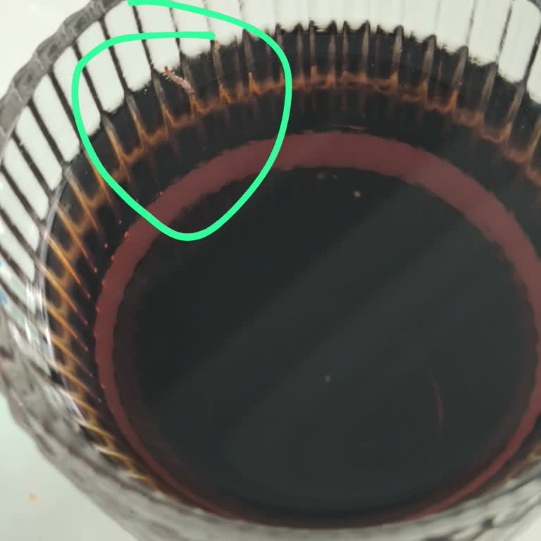 Satın Aldığım Kola Turka'nın İçinden Böcek Çıkması Nedeniyle Sağlığımız Tehlikeye Girdi