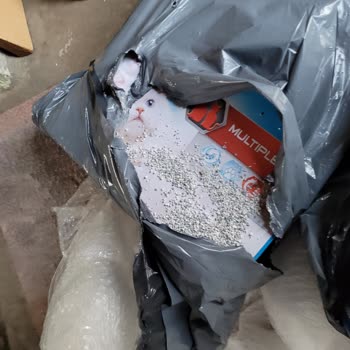 Hasarlı Ve Patlak Kedi Kumu Mağduriyeti