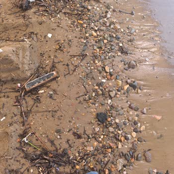 Yanıltıcı Plaj Bilgisi Nedeniyle Mağduriyet Ve Çözüm Talebi