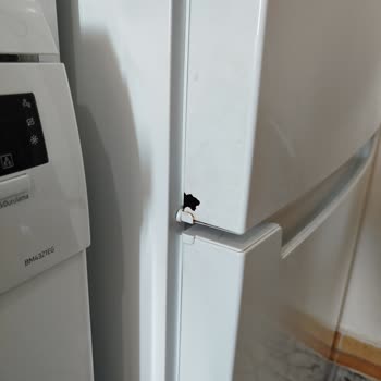 Garanti Kapsamındaki Profilo Buzdolabında Çürüme Ve Servis İlgisizliği