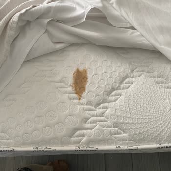 Otel Odasında Temizlik Skandalı Ve Para İadesi Mağduriyeti Yaşadık