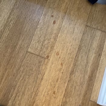 Sebze Ve Meyvelerle Kimyasal Ürün Aynı Poşette, Sızma Sonucu Sağlık Riski Yaşadım