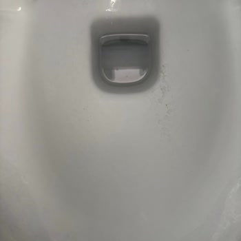 Bien Marka Klozetlerde İlk Günlerden İtibaren Çıkan Siyah Lekeler Ve Değişim Talebi